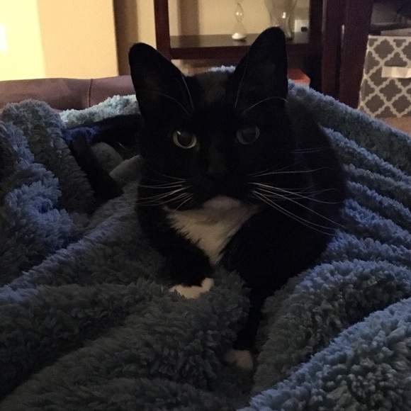 Meet your Posher, Maria - Picture 1 of 1